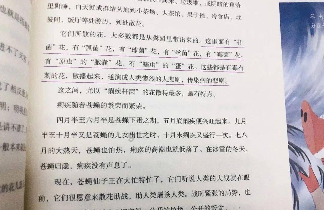陵城农商银行：西葫芦变身致富“金葫芦”