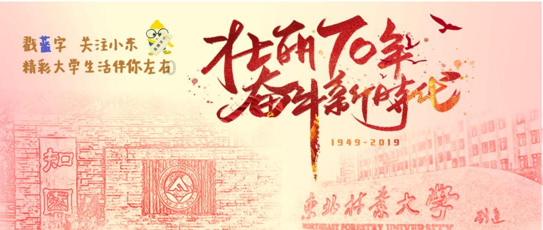超黄金街霸4